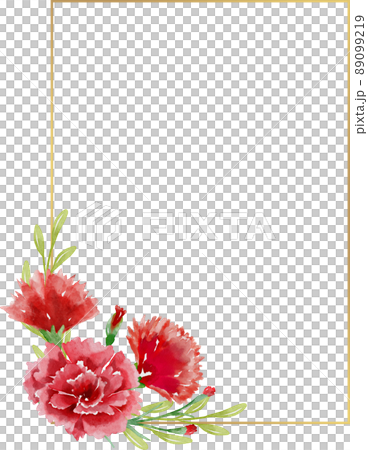 花 植物 カーネーション 89099219