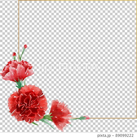 水彩康乃馨框架 89099222