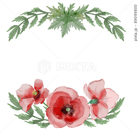 花 ケシ 植物 89099800