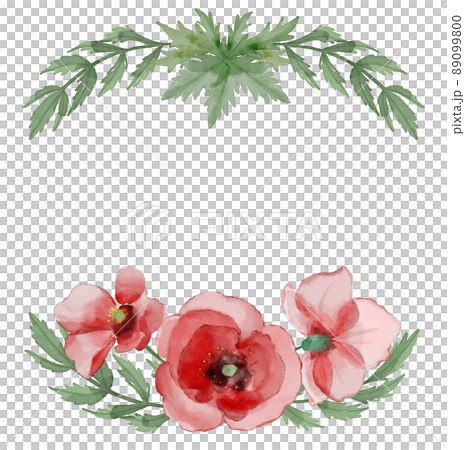 水彩罌粟框架 89099800