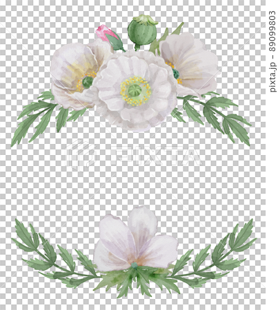 水彩罌粟框架 89099803