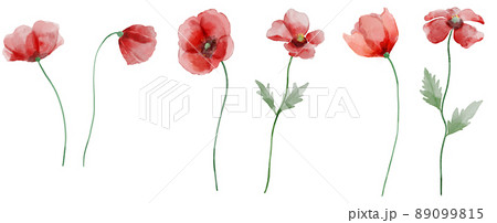 花 ケシ 植物 89099815