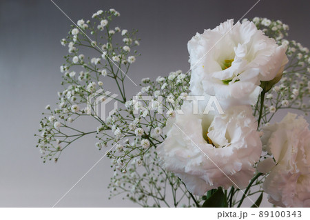 グレー背景のカスミソウとトルコキキョウの花束 グレー背景のカスミソウとトルコキキョウの花束 89100343