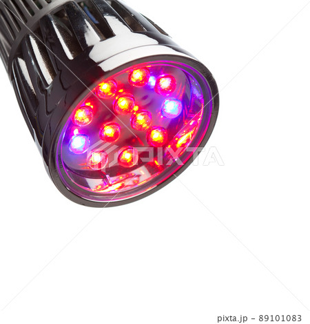 LED lamp for plant growing 89101083