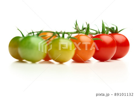 ripe and unripe cherry tomatoes isolated on white 89101132