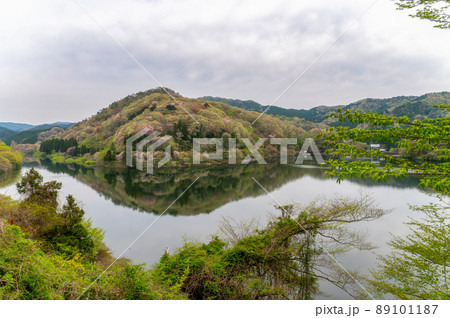 茨城県北茨城市 春の朝の水沼ダム 茨城県北茨城市 春の朝の水沼ダム 89101187