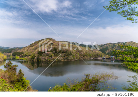 茨城県北茨城市 春の朝の水沼ダム 茨城県北茨城市 春の朝の水沼ダム 89101190