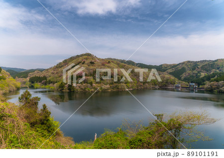 茨城県北茨城市 春の朝の水沼ダム 茨城県北茨城市 春の朝の水沼ダム 89101191