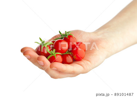 hand holding fresh cherry tomatoes 89101487
