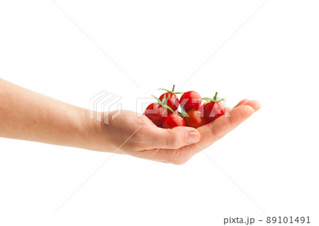 hand holding fresh cherry tomatoes 89101491
