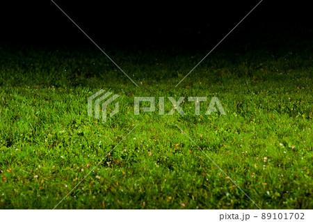 green lawn green lawn 89101702
