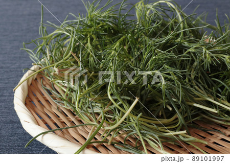 ざるにのったおかひじき 89101997