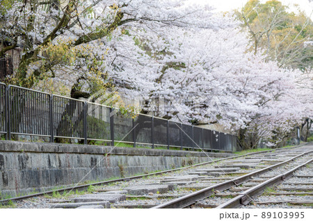 《京都府 京都市》蹴上インクラインの桜 《京都府 京都市》蹴上インクラインの桜 89103995