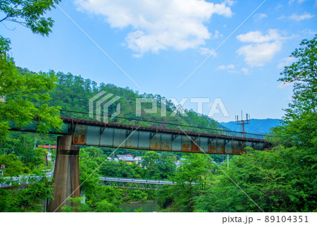 出川橋梁　古河橋付近　出川　初夏の風景　　　 89104351