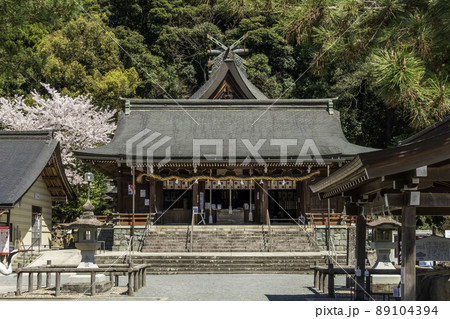 物部神社　拝殿　島根県大田市 89104394