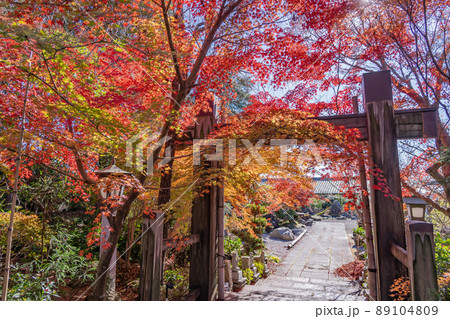 三重県鈴鹿市 紅葉の美しい秋の石薬師寺の門 三重県鈴鹿市 紅葉の美しい秋の石薬師寺の門 89104809