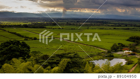 Sugar cane field and the majestic mountains at the Valle del Cauca region in Colombia 89104950