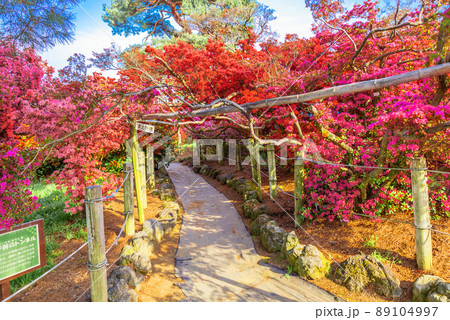 紅霧島のトンネル 89104997