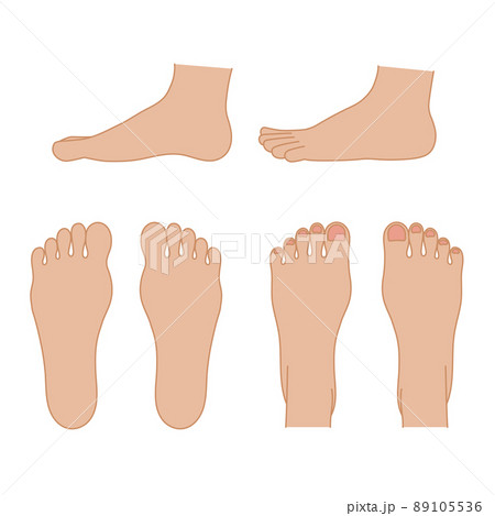 足の裏・甲・側面のシンプルイラスト 89105536