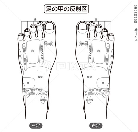 足の甲の反射区・足つぼ モノクロイラストのイラスト素材 [89105569] - PIXTA