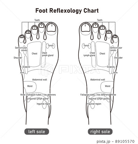 足の甲の反射区・足つぼ　モノクロイラスト(英語版) 89105570