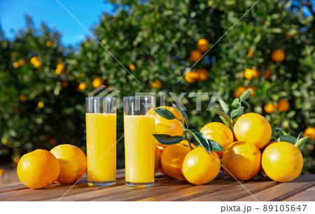 Glass jug and glasses with fresh orange juice on wooden table with oranges in an outdoor setting during summer 89105647