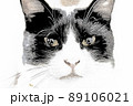 ねこのイラスト 89106021