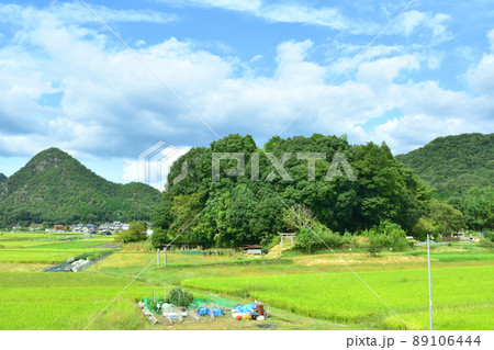 2021年、山陽本線の白市駅から糸崎駅までの車窓風景 89106444