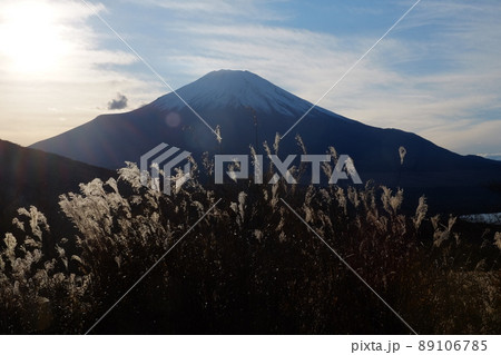 富士山 すすき 秋 夕暮れ 89106785
