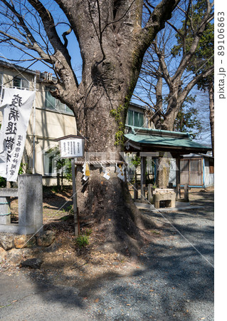 【静岡県】 浜名惣社神明宮 【静岡県】 浜名惣社神明宮 89106863