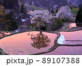 儀明の桜 89107388