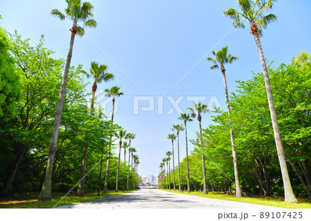 潮風公園/水と緑のプロムナード(東京都品川区)【2022.4】 潮風公園/水と緑のプロムナード(東京都品川区)【2022.4】 89107425
