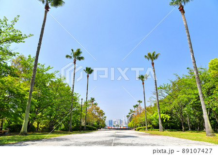 潮風公園／水と緑のプロムナード(東京都品川区)【2022.4】 89107427
