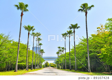 潮風公園／水と緑のプロムナード(東京都品川区)【2022.4】 89107428