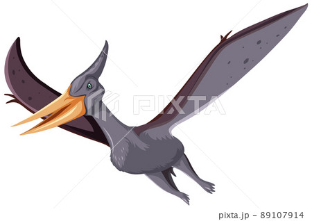 A dinosaur pteranodon on white background A dinosaur pteranodon on white background 89107914