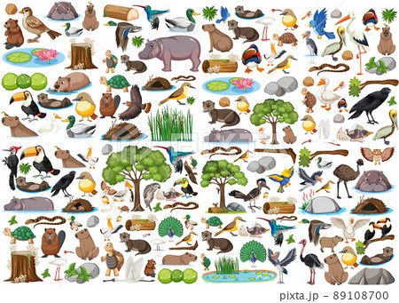 Different kinds of wild animals collection 89108700