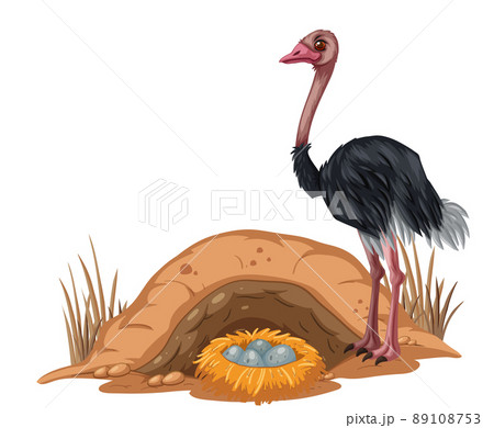 Ostrich with its egg in cartoon style 89108753