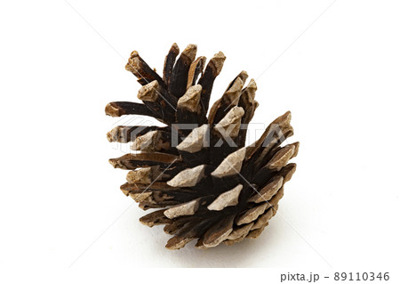 秋の小物 89110346