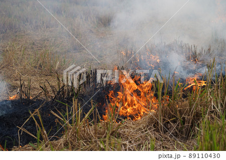 The agricultural waste burning cause of smog and pollution. Fumes produced by the incineration of hay and rice straw in agricultural fields. The agricultural waste burning cause of smog and pollution. Fumes produced by the incineration of hay and rice straw in agricultural fields. 89110430