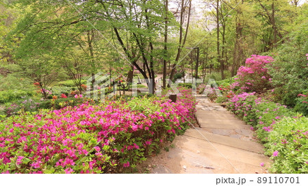 山道 登山 山歩き 89110701