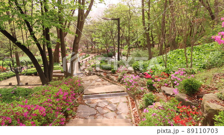 山道 登山 山歩き 89110703