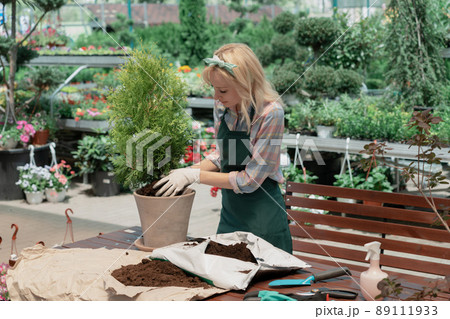Woman planting a bush in flower pot using dirt in garden center Woman planting a bush in flower pot using dirt in garden center 89111933
