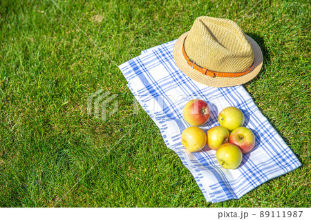 red and yellow apples and straw hat on a cloth and green grass in a park, copy space red and yellow apples and straw hat on a cloth and green grass in a park, copy space 89111987