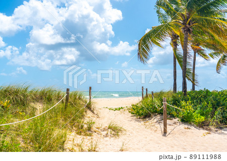 Sand Path going to the ocean in Miami Beach, Florida Sand Path going to the ocean in Miami Beach, Florida 89111988