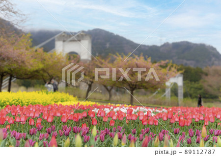 秦野戸川公園 89112787