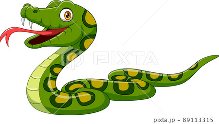 Cartoon green snake on white background 89113315