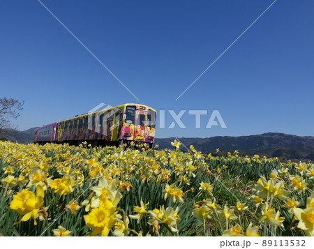 ローカル線とスイセン　水仙　すいせん 89113532