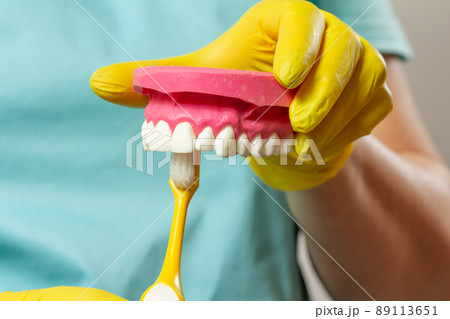 Dentist with toothbrush and layout of the human jaw. 89113651