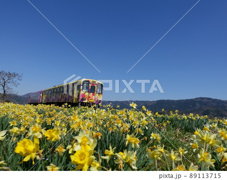 ローカル線とスイセン　水仙　すいせん 89113715