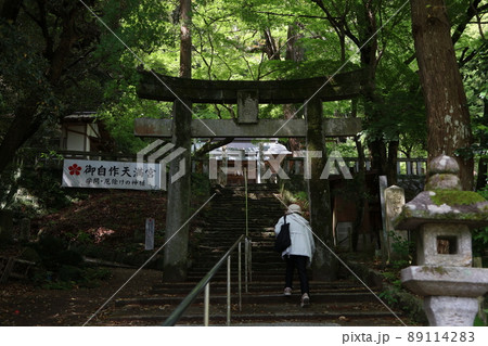 武蔵寺　フジ 89114283